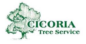 Logo_CicoriaTreeService